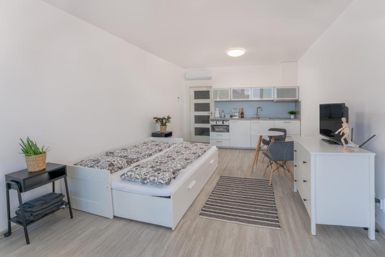Apartment Santovka