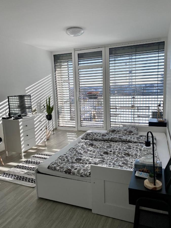 Apartment Santovka